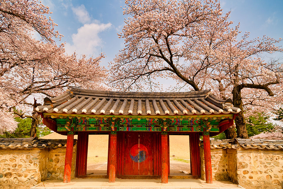 Gate in the Daereungwon Tomb Complex under the sunlight in Gyeongju, South Korea Image